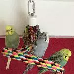 Mein Trio