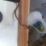 beim spielen