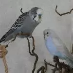 Familie Welli
