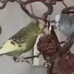 Pauline und Peter