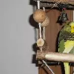 Paulinchen spielt