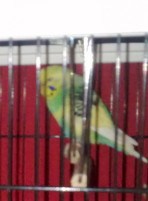 Benny