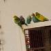 Fliegen und chillen