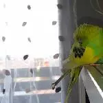 vom Flug erholen