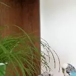 Blick in die Kamera