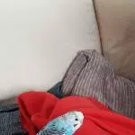 Lissy beim versteck spielen Teil 2