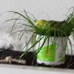 Bonnie spielt verstecken