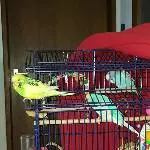Besuch Zuhause