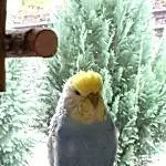 Marry beim chillen auf dem Käfig