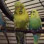 Beste Kumpels ;)