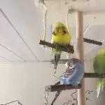 Chilltime