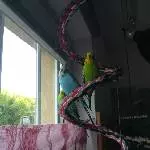 Ma gucken