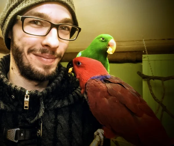 Wellensittich-Bild: Ich bin am (vorläufigen) Ziel meiner Reise angekommen. In 23 Jahren Vogelhaltung habe ich viel gesehen, viel Freude, viel Leid, da erzähle ich hier niemand etwas neues. Auch wenn es nicht richtig ist, die Augen vor dem Tierschutz zu verschließen, so ist doch oberste Priorität das Wohlergehen UNSERER Federpopos. 
Lucky und Luna sind, bis auf Weiteres, die letzten Notfedern, die bei uns eingezogen sind. Es war ein steiniger Weg, bis zu diesem Moment - für den ich aber vollends entlohnt wurde. 
Die zwei Herzchen wurden vor dem Tierheim im Februar dieses Jahres ausgesetzt, über ihre Vorgeschichte ist nichts bekannt, da man zum Vorbesitzer keinen Kontakt aufnehmen kann (in Haft). Sie sind drei Jahre alt, mehr weiß man nicht.
Mit den beiden habe ich meiner Haltung unserer Lieben die Krone aufgesetzt, mich gleichzeitig dazu entschieden, mein Leben nun ganz den Vögeln zu widmen. Denn viel drum herum, wird es somit nun nicht mehr geben. Eine Entscheidung, die man wollen MUSS - eine Entscheidung, die ich nicht bereue. Diese sensiblen Tiere scheinen sich schon recht wohl zu fühlen, zum Erstaunen so vieler. Einschließlich mir. 
Wenn ich an die Geschichten denke, die hinter meinen Flauschis steckt, mal mehr mal weniger schlimm, bin ich ganz ehrfürchtig vor diesen noblen Wesen. 
Es ist ein lang gehegter Traum, der in Erfüllung ging, eine kleine Oase zu schaffen, in der jedes Vögelchen zur Ruhe kommen und Zuhause sein darf.

Es ist auch mal Zeit Danke zu sagen, auch an euch, die mich unterstützt und mir auch mal den einen oder anderen Hinweis gegeben haben. 

Danke, an euch - Danke, an jeden meiner Federpopos, das ihr hier seit. 