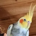Lilu - in der Ruhe liegt die Kraft 