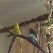 Susi und Flocke ganz privat