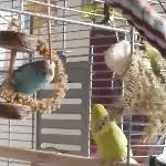 Floke und Susi