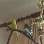 Susi und Flocke ganz privat