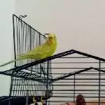Susi und Bubi 