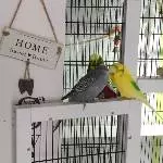Schmuseeinheiten