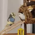 Das ist meine Kugel