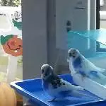 Heute Ist Badetag