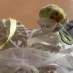 Schnarbel Test
