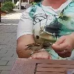 Vogel-Flüsterin