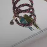 Kuscheln ist schön und macht Spaß!