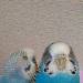 Lumpi und Lini