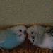 Bubi und Bini