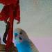 Lumpi unser Baby