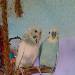 Bini und Bubi