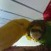 Lottchen und Schecki