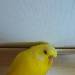Unser Baby Marie