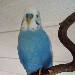 Lumpichen