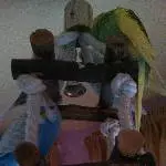 Meine 5 Schätze