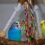 Kleine Pause am Mittag