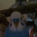 Mein Flauschmonster