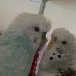 Unser Pärchen
