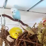Lottchen haut rein