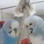 Bini und Lumpi