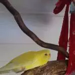 Unser Neuzugang Marie!