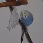 Mmh die Fäden schmecken Lecker