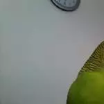 Schräges Ding, diese Kamera