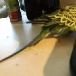 Meine Tastatur