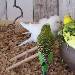 Die Grasfriseure