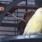 Akis Ausflug