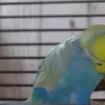 Kumpel du hast da was