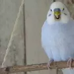 Morgäääääääääähhhn!