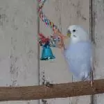 Hallo erstmal